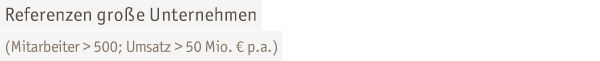 Referenzen gro�e Unternehmen 